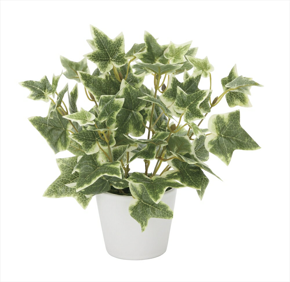 光触媒 光の楽園 斑入りアイビー 834K30約 幅22×奥行22×高さ23cm人工植物 造花 フェイクグリーン おしゃれ インテリア 小型 卓上 ミニ