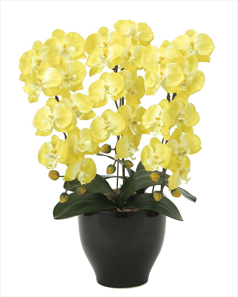 【ブラックフライデー20日20時からP3倍】光触媒 光の楽園 胡蝶蘭セリースY 917K120約 幅42×奥行40×高さ66cm人工観葉植物 造花 フェイクフラワー フラワーアレンジメント アートフラワー おしゃれ インテリア ギフト お祝い