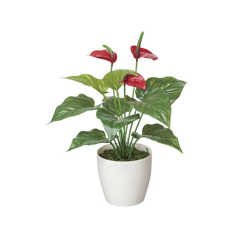 光触媒 光の楽園 フレッシュアンスリューム 389A35約 幅35×奥行32×高さ40cm人工植物 造花 フェイクグリーン おしゃれ インテリア 小型 卓上 本物の葉のような質感