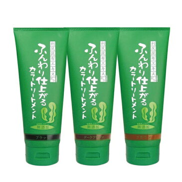【5本セット】ふんわり仕上がるカラートリートメント 200g ヘアカラー カラーリング トリートメント 白髪染め 白髪隠し 髪染め 毛染め 天然 無添加 利尻昆布 シャンプー ヘナ 利尻ヘアカラートリートメント