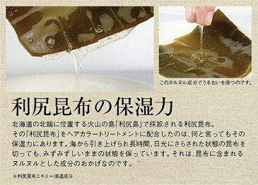 【5本セット】ふんわり仕上がるカラートリートメント 200g ヘアカラー カラーリング トリートメント 白髪染め 白髪隠し 髪染め 毛染め 天然 無添加 利尻昆布 シャンプー ヘナ 利尻ヘアカラートリートメント