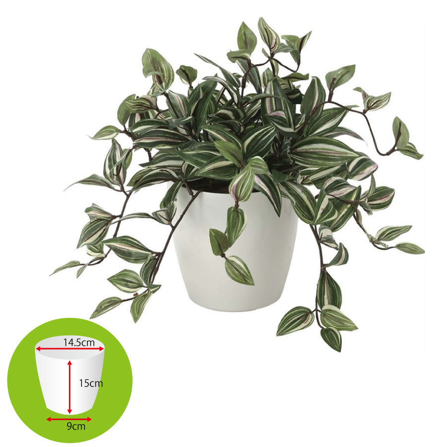 スーパーセール中P5倍！光触媒 光の楽園 トラディスカンティア2042A50人工植物 造花 フェイクグリーン ..