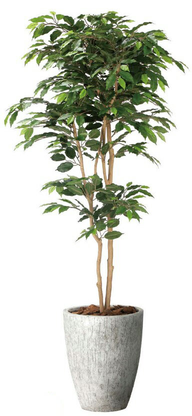 Rakuten - 【いつもありがとう母の日プレゼント】人工観葉植物 光の楽園 光触媒 ナチュラルベンジャミン1.8 2405A650 造花 アーティフィシャルフラワー 葉物 造花・人工観葉植物 約 幅70×奥行75×高さ180cm フェイクグリーン インテリア 大型 ディスプレイ