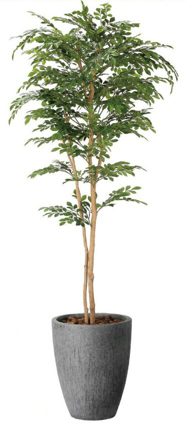 Rakuten - 【いつもありがとう母の日プレゼント】光触媒 光の楽園 ナチュラルトネリコ1.82407a720人工植物 造花 フェイクグリーン おしゃれ インテリア フロアタイプ 屋内対応型約 幅70×奥行70×高さ180cm