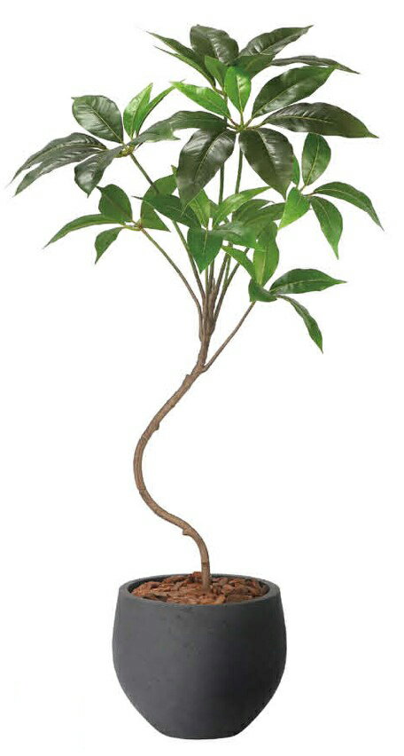 Rakuten - 【いつもありがとう母の日プレゼント】人工観葉植物 光の楽園/光触媒 ナチュラルツピタンサス1.02409A190約 幅50×奥行50×高さ100cm造花 アーティフィシャルフラワー 葉物 造花・人工観葉植物 高さ〜100cm フェイクグリーン インテリア 卓上 ミニサイズ