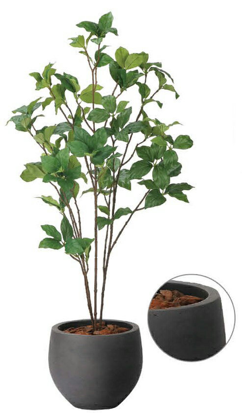 Rakuten - 【いつもありがとう母の日プレゼント】人工観葉植物 光の楽園 光触媒 ナチュラルサラサドウダン1.02411A215約 幅45×奥行40×高さ100cm造花 アーティフィシャルフラワー 葉物 造花・人工観葉植物 高さ〜100cm フェイクグリーン インテリア 卓上 ミニサイズ