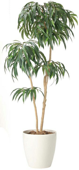 Rakuten - 【いつもありがとう母の日プレゼント】光触媒 光の楽園 DXショウナンゴム1.82417A500人工植物 造花 フェイクグリーン おしゃれ インテリア フロアタイプ 屋内対応型約 幅90×奥行60×高さ180cm