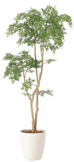 Rakuten - 光触媒 光の楽園タイワンモミジ 2420A230約 幅55×奥行45×高さ130cm人工植物 造花 フェイクグリーン おしゃれ インテリア 大型
