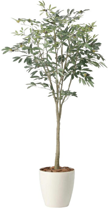 Rakuten - 【いつもありがとう母の日プレゼント】光触媒 光の楽園 オリーブツリー1.72426A310人工植物 造花 フェイクグリーン おしゃれ インテリア フロアタイプ 屋内対応型約 幅85×奥行85×高さ170cm