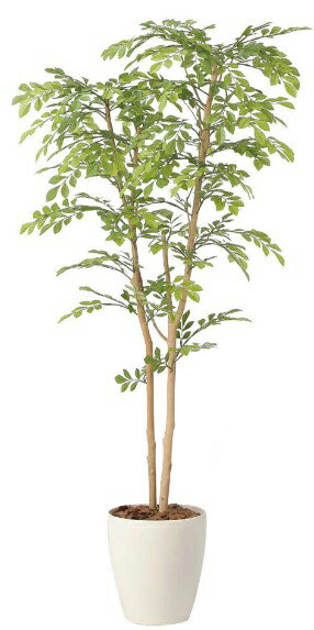 Rakuten - 【いつもありがとう母の日プレゼント】光触媒 光の楽園 ライトトネリコ1.32430R250人工植物 造花 フェイクグリーン おしゃれ インテリア フロアタイプ 屋内対応型約 幅60×奥行50×高さ130cm