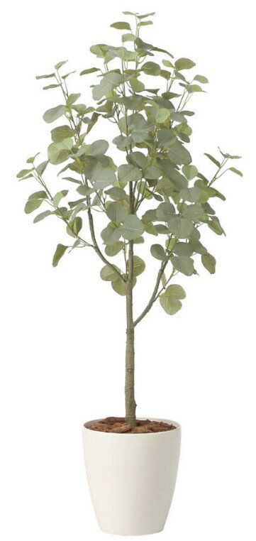 Rakuten - 【いつもありがとう母の日プレゼント】人工観葉植物 光の楽園/光触媒 ユ—カリツリ—1.352432A220約 幅50×奥行45×高さ135cm造花 アーティフィシャルフラワー 葉物 造花・人工観葉植物 高さ〜150cm フェイクグリーン インテリア ディスプレイ 装飾 業務用