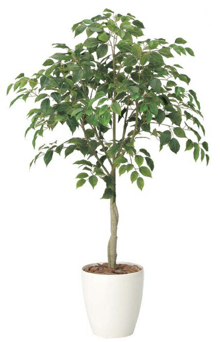 乐天商城 - 【母の日・新築祝いにおすすめ】人工観葉植物 光の楽園/光触媒 フィカスツリ—1.352434A210約 幅75×奥行75×高さ135cm造花 アーティフィシャルフラワー 葉物 造花・人工観葉植物 高さ〜200cm フェイクグリーン インテリア 大型 ディスプレイ 装飾