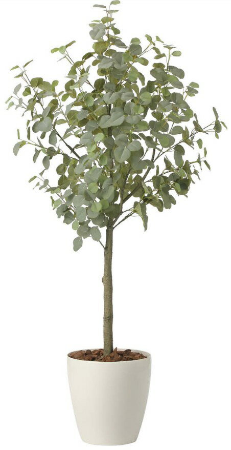 Rakuten - 【いつもありがとう母の日プレゼント】人工観葉植物 光の楽園/光触媒 ユ—カリツリ—1.85 組立式2436A450約 幅80×奥行65×高さ185cm造花 アーティフィシャルフラワー 葉物 造花・人工観葉植物 高さ〜200cm フェイクグリーン インテリア 大型 ディスプレイ
