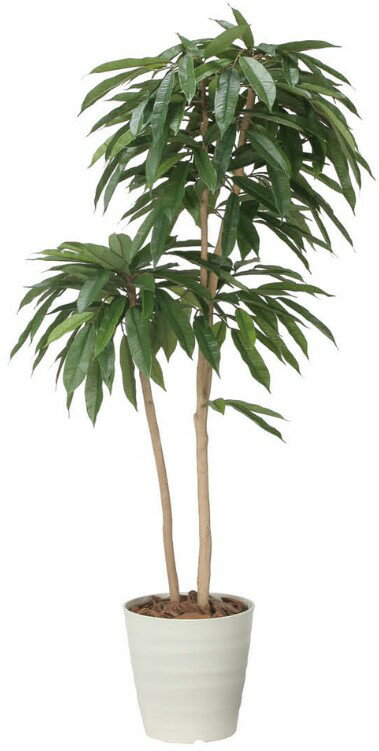 乐天商城 - 【いつもありがとう母の日プレゼント】人工観葉植物 光の楽園/光触媒 アムステルダムキング1.62439A430約 幅70×奥行65×高さ160cm造花 アーティフィシャルフラワー 葉物 造花・人工観葉植物 高さ〜200cm フェイクグリーン インテリア 大型 ディスプレイ 装飾