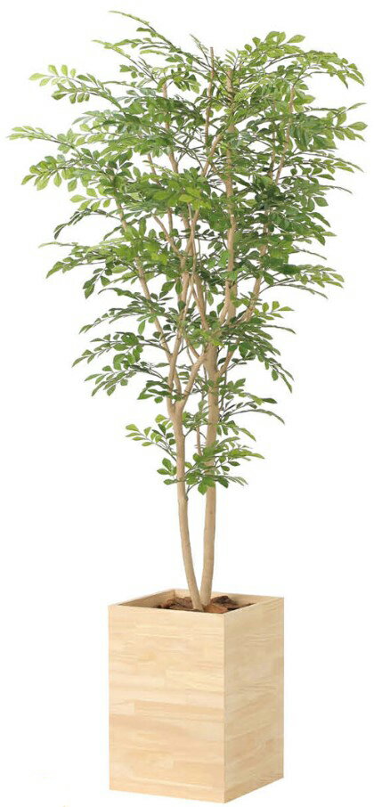 Rakuten - 【マラソン中P3倍】【いつもありがとう母の日プレゼント】人工観葉植物 光の楽園/光触媒 ウッドボックストネリコミックス1.82457A620約 幅90×奥行80×高さ180cm造花 アーティフィシャルフラワー 葉物 造花・人工観葉植物 フェイクグリーン インテリア 大型