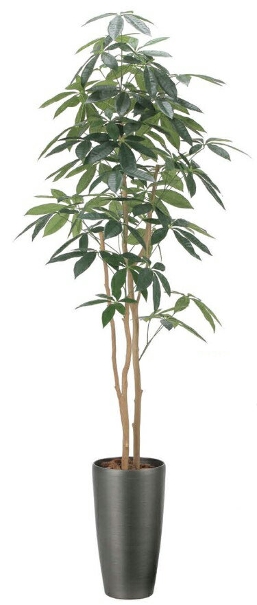 Rakuten - 【いつもありがとう母の日プレゼント】人工観葉植物 光の楽園/光触媒 スリムパキラ1.82508A360約 幅65×奥行65×高さ180cm造花 アーティフィシャルフラワー 造花葉物 造花・人工観葉植物 高さ〜200cm