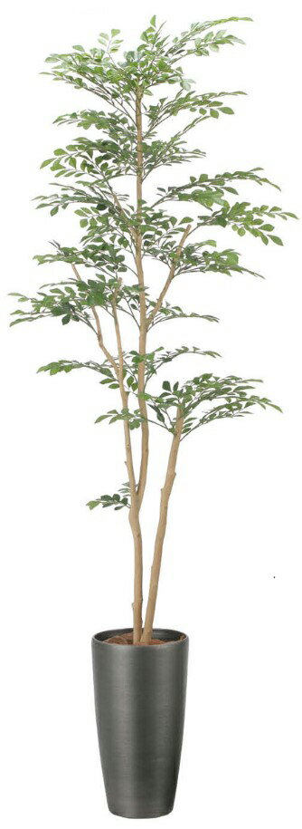 Rakuten - 【いつもありがとう母の日プレゼント】人工観葉植物 光の楽園/光触媒 スリムトネリコ1.82509A400約 幅60×奥行60×高さ180cm造花 アーティフィシャルフラワー 葉物 造花・人工観葉植物 高さ〜200cm フェイクグリーン インテリア 大型 ディスプレイ 装飾