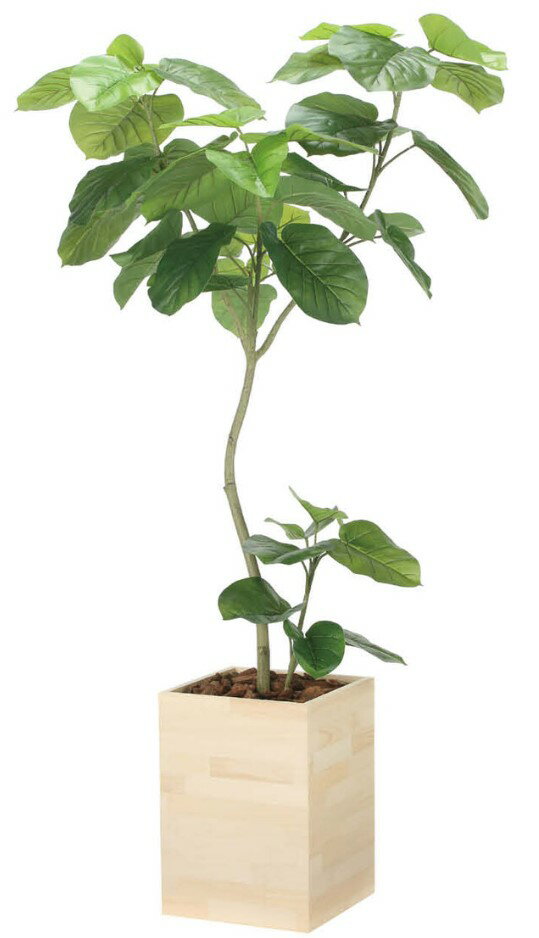 【マラソン中P3倍】【母の日・新築祝いにおすすめ】人工観葉植物 光の楽園/光触媒 ウッドボックスウンベラータW1.82512A680約 幅85×奥行70×高さ180cm造花 アーティフィシャルフラワー 葉物 造花・人工観葉植物 フェイクグリーン インテリア 大型