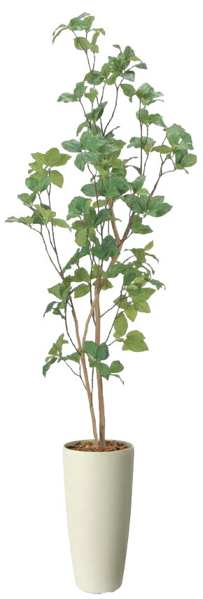 乐天商城 - 【いつもありがとう母の日プレゼント】人工観葉植物 光の楽園/光触媒 スリムサラサドウダン1.72515R360約 幅50×奥行50×高さ170cm造花 アーティフィシャルフラワー 葉物 造花・人工観葉植物 高さ〜200cm フェイクグリーン インテリア 大型 ディスプレイ 装飾