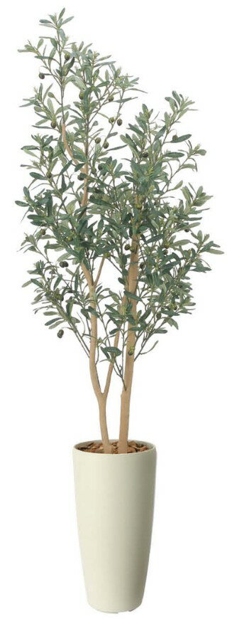 Rakuten - 【いつもありがとう母の日プレゼント】人工観葉植物 光の楽園/光触媒 スリムオリーブ1.62519R400約 幅50×奥行45×高さ160cm造花 アーティフィシャルフラワー 葉物 造花・人工観葉植物 高さ〜200cm フェイクグリーン インテリア 大型 ディスプレイ 装飾