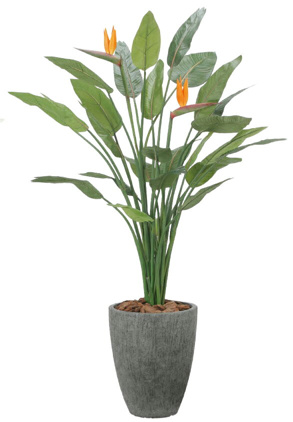 Rakuten - 【いつもありがとう母の日プレゼント】人工観葉植物 光の楽園/光触媒 ナチュラルストレチア花付1.72526A800約 幅100×奥行100×高さ170cm造花 アーティフィシャルフラワー 葉物 造花・人工観葉植物 高さ〜200cm フェイクグリーン インテリア 大型 ディスプレイ