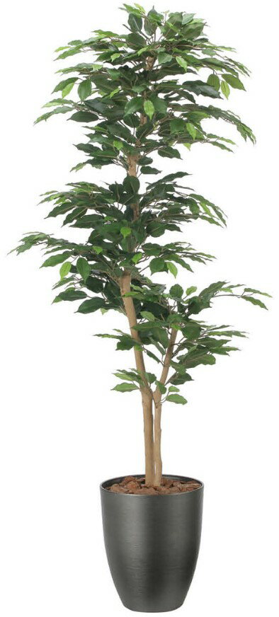 乐天商城 - 【いつもありがとう母の日プレゼント】人工観葉植物 光の楽園/光触媒 インテリアベンジャミン1.62527A380約 幅65×奥行65×高さ160cm造花 アーティフィシャルフラワー 葉物 造花・人工観葉植物 高さ〜200cm フェイクグリーン インテリア 大型 ディスプレイ 装飾