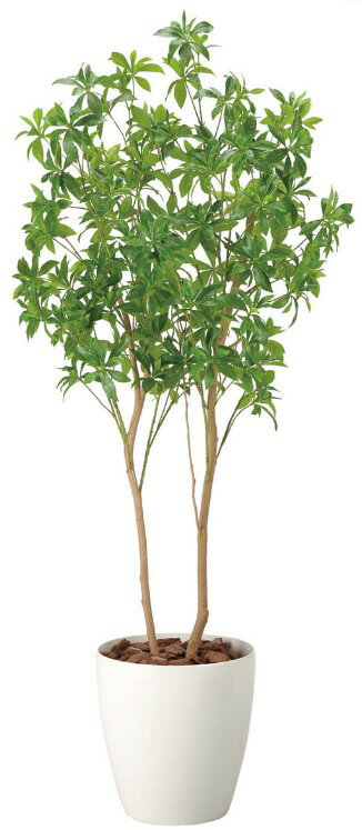 Rakuten - 【いつもありがとう母の日プレゼント】光触媒 光の楽園 フレッシュアセビ1.82528A500人工植物 造花 フェイクグリーン おしゃれ インテリア フロアタイプ 屋内対応型約 幅75×奥行55×高さ180cm