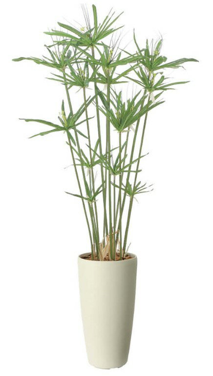 Rakuten - 【マラソン中P3倍】【いつもありがとう母の日プレゼント】人工観葉植物 光の楽園 光触媒 スリムパピルス1.352564R260約 幅60×奥行60×高さ135cm造花 アーティフィシャルフラワー 葉物 造花 高さ〜150cm フェイクグリーン インテリア ディスプレイ