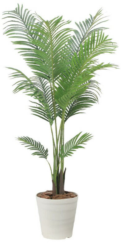 Rakuten - 【いつもありがとう母の日プレゼント】人工観葉植物 光の楽園/光触媒 フレッシュパーム1.52566A370約 幅90×奥行70×高さ150cm造花 アーティフィシャルフラワー 葉物 造花・人工観葉植物 高さ〜150cm フェイクグリーン インテリア ディスプレイ 装飾 業務用