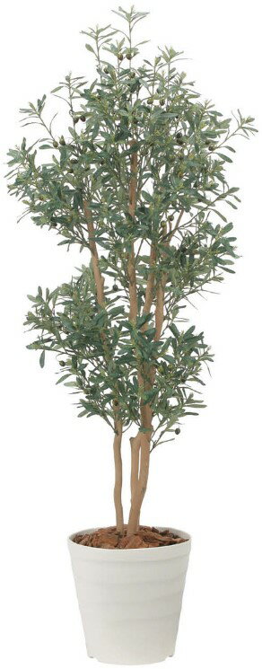 Rakuten - 【いつもありがとう母の日プレゼント】光触媒 光の楽園 デラックスオリーブ1.82573A600人工植物 造花 フェイクグリーン おしゃれ インテリア フロアタイプ 屋内対応型約 幅60×奥行60×高さ180cm