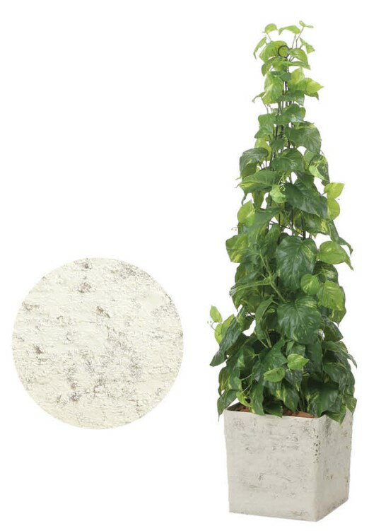 Rakuten - 【いつもありがとう母の日プレゼント】人工観葉植物 光の楽園/光触媒 インテリアフレッシュポトス1.52574A400約 幅40×奥行40×高さ130cm造花 アーティフィシャルフラワー 葉物 造花・人工観葉植物 高さ〜150cm フェイクグリーン インテリア ディスプレイ