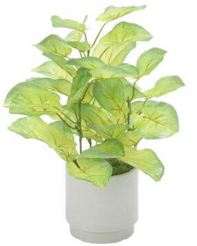 Rakuten - 【いつもありがとう母の日プレゼント】光触媒 光の楽園 フレッシュバウヒニアS2580A40約 幅23×奥行23×高さ30cm人工植物 造花 フェイクグリーン おしゃれ インテリア 小型 卓上