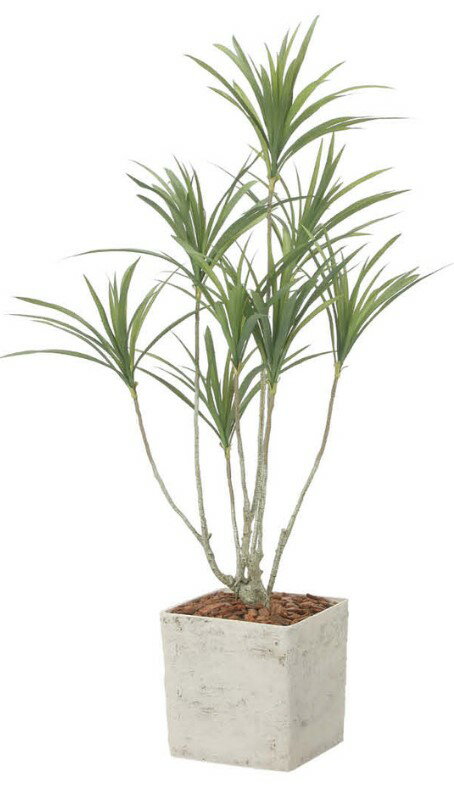 乐天商城 - 【いつもありがとう母の日プレゼント】人工観葉植物 光の楽園/光触媒 インテリアドラセナ1.4 ポリ製2590A580約 幅80×奥行70×高さ140cm造花 アーティフィシャルフラワー 葉物 造花・人工観葉植物 高さ〜150cm フェイクグリーン インテリア ディスプレイ