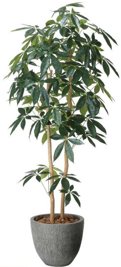 乐天商城 - 【マラソン中P3倍】【いつもありがとう母の日プレゼント】光触媒 光の楽園 ナチュラルパキラ1.62617A500人工植物 造花 フェイクグリーン おしゃれ インテリア フロアタイプ 屋内対応型約 幅65×奥行60×高さ160cm