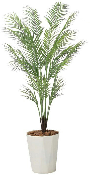 Rakuten - 【いつもありがとう母の日プレゼント】光触媒 光の楽園 アレカパームS1.352631A200人工植物 造花 フェイクグリーン おしゃれ インテリア スタンドタイプ 屋内対応型約 幅70×奥行70×高さ135cm