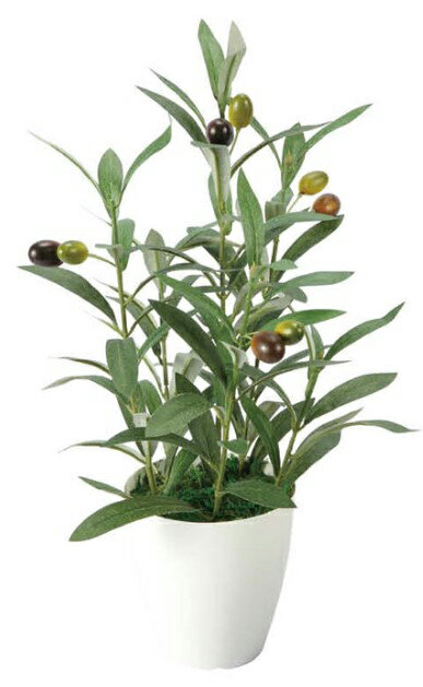 Olive - 光触媒 光の楽園 オリーブS2706A40約 幅25×奥行25×高さ42cm人工植物 造花 フェイクグリーン おしゃれ インテリア 小型 卓上