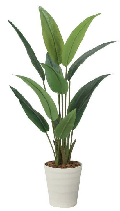 Rakuten - 【いつもありがとう母の日プレゼント】人工観葉植物 光の楽園/光触媒 ストレチア1.22708A225約 幅65×奥行65×高さ120cm造花 アーティフィシャルフラワー 葉物 造花・人工観葉植物 高さ〜150cm フェイクグリーン インテリア ディスプレイ 装飾 業務用