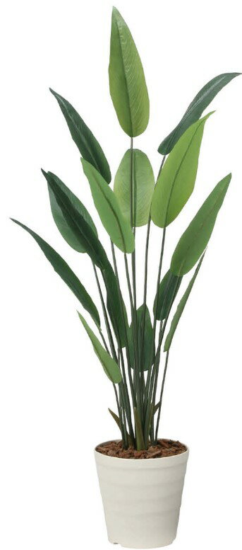 Rakuten - 【いつもありがとう母の日プレゼント】人工観葉植物 光の楽園/光触媒 ストレチア1.652709A280約 幅70×奥行70×高さ165cm造花 アーティフィシャルフラワー 葉物 造花・人工観葉植物 高さ〜150cm フェイクグリーン インテリア ディスプレイ 装飾 業務用