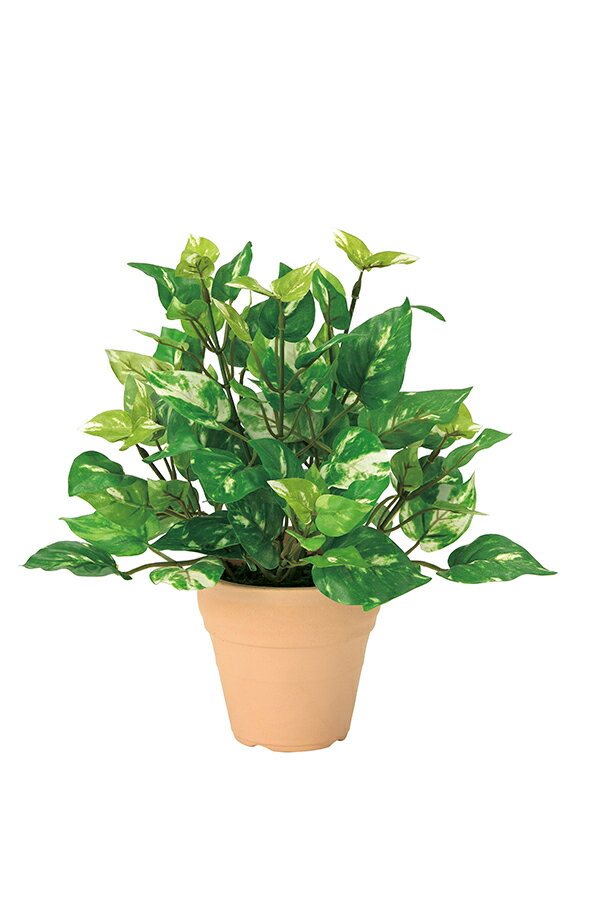 【マラソン中P3倍！4日20時から】光触媒 光の楽園 ポトスS261A25人工植物 造花 フェイクグリーン おしゃれ インテリア テーブルタイプ 屋内対応型約 幅22×奥行20×高さ27cm