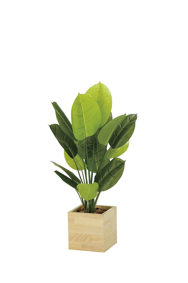 【マラソン中P3倍】光触媒 光の楽園 ウッドボックススキンダプサス2307A210約 幅50×奥行45×高さ85cm人工植物 造花 フェイクグリーン おしゃれ インテリア 大型