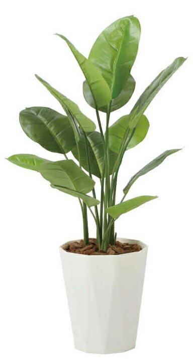 发财树 - 光触媒 光の楽園 フレッシュスキンダプサス1.1 2240A160約 幅60×奥行55×高さ100cm人工植物 造花 フェイクグリーン おしゃれ インテリア 大型