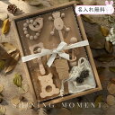 おもちゃ 木の玩具 収入袋付 ギフト 天然木 玩具 名入れ無料 歯がため ラッピング発送 0歳 木製 6点セット プレゼント ベビー