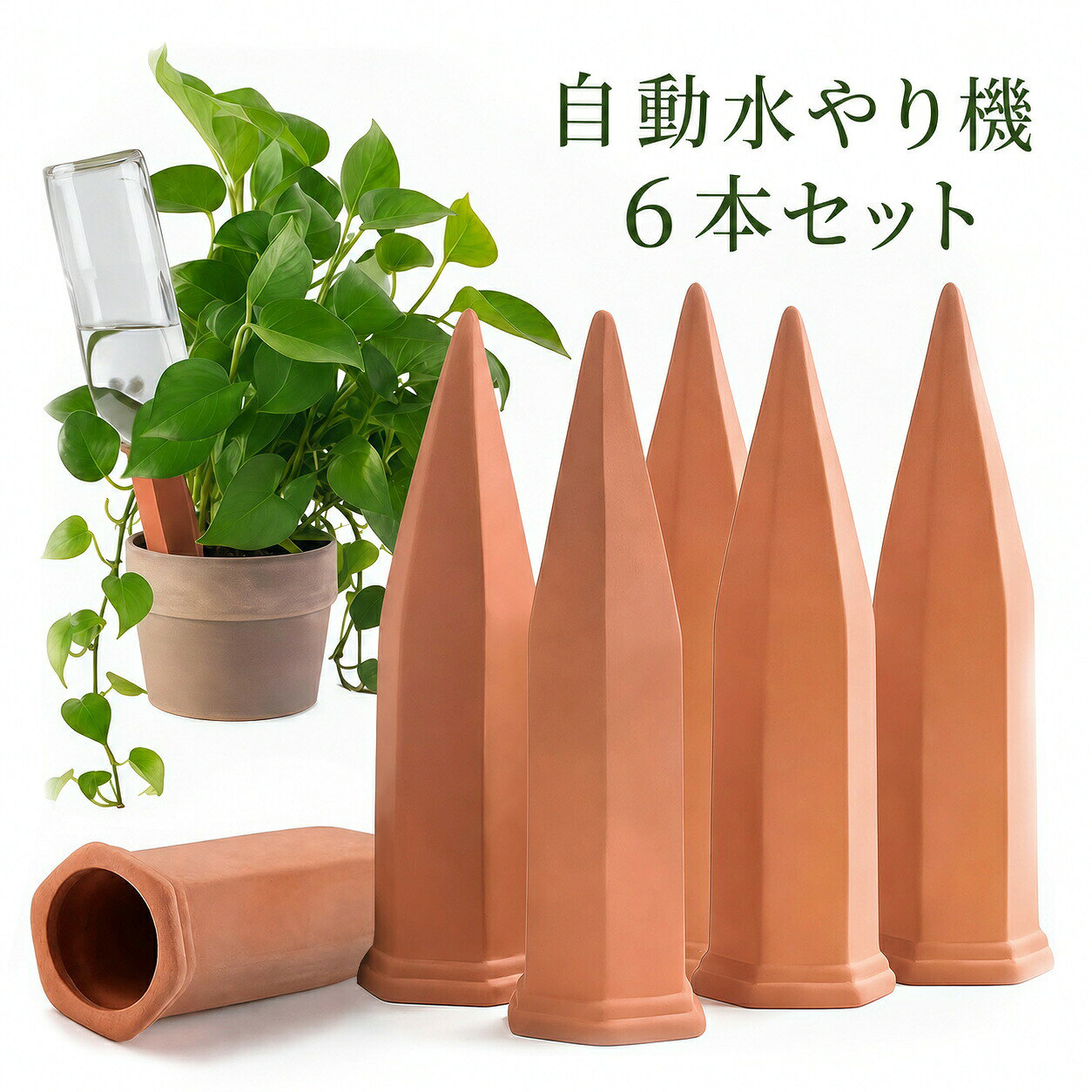 商品画像1