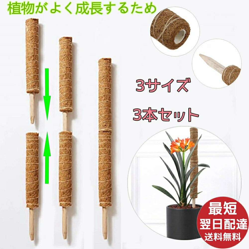 植物 支柱 ココナッツ 頑丈 おしゃれ 支柱 高さ調整可能 植 園芸支柱 【3本セット...