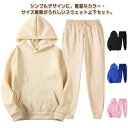部屋 パーカー ジョガーパンツ スウェット 上下セット ジャージ スエット 長袖 セットアップ メンズ スポーツウェア フード付き