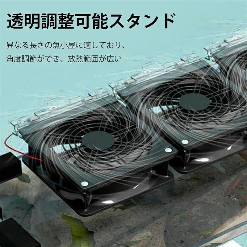 ������������� �����ѥ����顼 �ե��� �������� ������󥰥ե��� �岹�����ɻ� ����������� Ǯ�ӵ���ѥե��� ���� �����顼