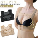 ダブルホ ブラ 垂れ防止 谷間メイク 育乳 バストアップ サポーター 補正下着 女性 インナー 背筋サポート ベルト バストアップ