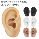 みみ フェイク 耳の模型 耳 耳モデル イヤリング 教育用 練習 ディスプレイ リアル 耳 シリコン【左右セット】ピアス 耳 指導用