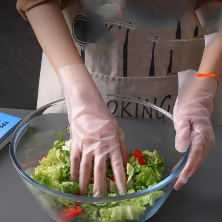 ���H�X TPE��� �H�i���H �h�� �g���̂ăO���[�u �v���X�`�b�N��� ��� �g���؂��� �҂�����t�B�b�g �ЊQ�΍� ��� �O���[�u