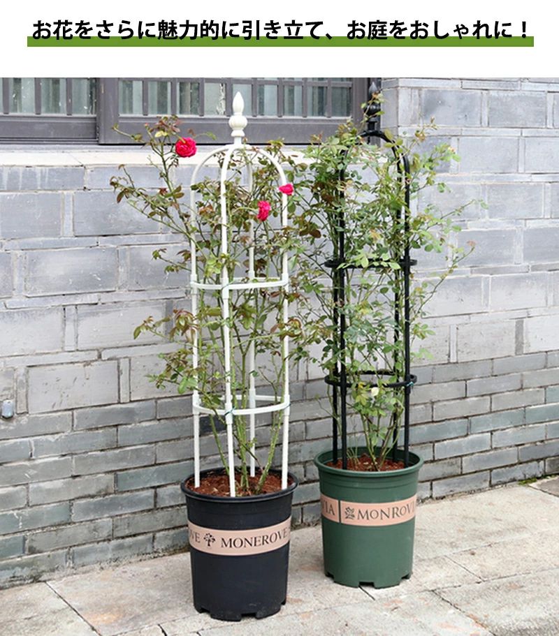 �����ǥ� �ʰ���Ω�� �� ������� ���� ����ñ ��°�� �� �Х� ���٥ꥹ�� �ֻ٤� �ȥ�ꥹ �Ĥ�����ʪ �Х��� ���� ////m